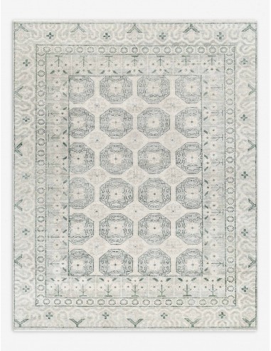 Chantara Hand-Knotted Wool Rug pas cheres