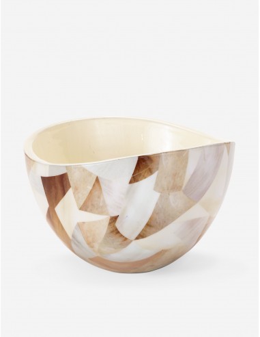 Jake Bowl by Regina Andrew de l' environnement