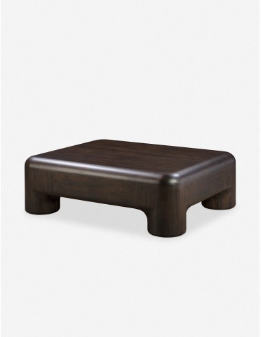 Bodnar Coffee Table brillant des détails fins