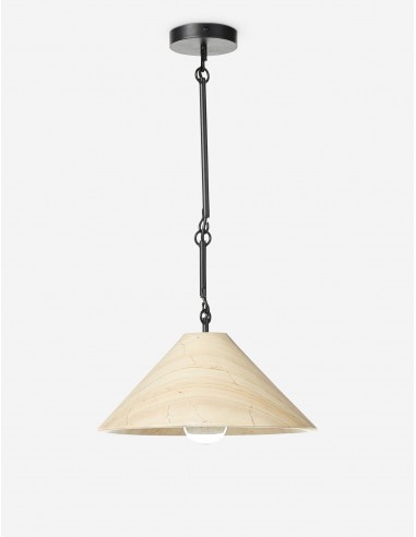 Ambar Pendant Light ou a consommer sur place