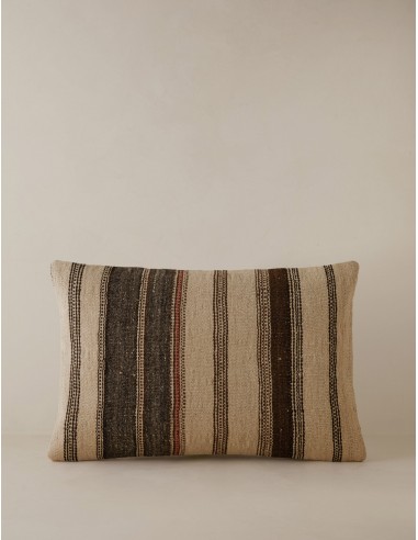 Vintage Lumbar Pillow No. 23, 16" x 24" l'évolution des habitudes 