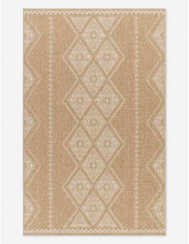 Mesny Indoor / Outdoor Rug français