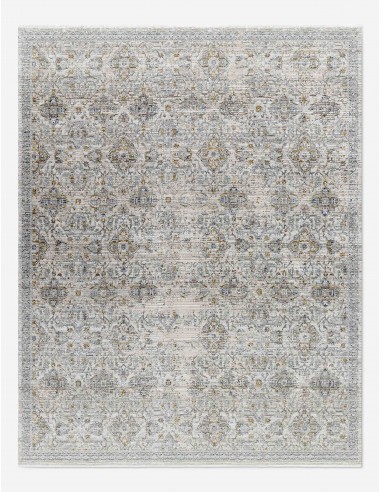 Margaret I Indoor / Outdoor Rug by Becki Owens x Surya du meilleur 