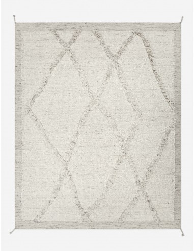 Tavares Hand-Knotted Wool Morrocan Style Rug prix