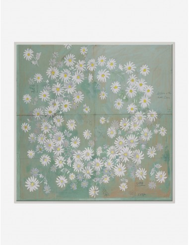 Daisies Print by Paule Marrot pas chere